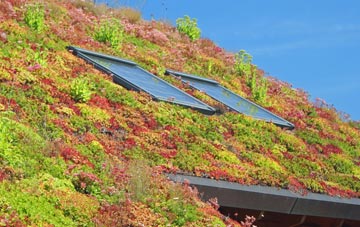Stanton St John living roof systems